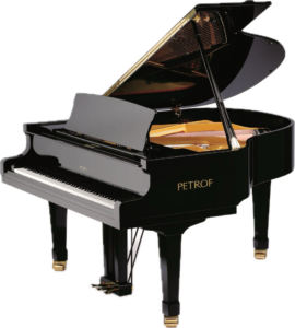 Petrof P159 BORA